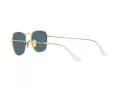 Ray-Ban Frank Sunčane Naočale RB 8157 9217T0