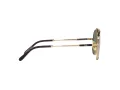 Ray-Ban Aviator Titanium Sunčane Naočale RB 8225 3138/52