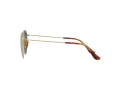 Ray-Ban Round Sunčane Naočale RB 8247 9217T0