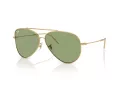 Ray-Ban Aviator Reverse Sunčane Naočale RB R0101S 001/82