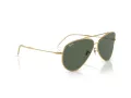 Ray-Ban Aviator Reverse Sunčane Naočale RB R0101S 001/VR