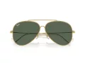 Ray-Ban Aviator Reverse Sunčane Naočale RB R0101S 001/VR