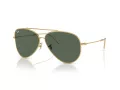 Ray-Ban Aviator Reverse Sunčane Naočale RB R0101S 001/VR