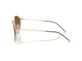 Ray-Ban Round Reverse Sunčane Naočale RB R0103S 001/CB