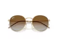 Ray-Ban Round Reverse Sunčane Naočale RB R0103S 001/CB