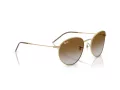 Ray-Ban Round Reverse Sunčane Naočale RB R0103S 001/CB
