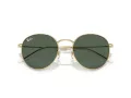 Ray-Ban Round Reverse Sunčane Naočale RB R0103S 001/VR