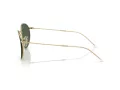 Ray-Ban Round Reverse Sunčane Naočale RB R0103S 001/VR