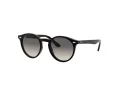 Ray-Ban Sunčane Naočale RJ 9064S 100/11