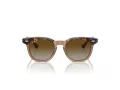 Ray-Ban Sunčane Naočale 9098S 7152T5