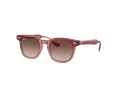 Ray-Ban Sunčane Naočale 9098S 715413