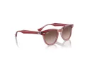 Ray-Ban Sunčane Naočale 9098S 715413