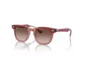 Ray-Ban Sunčane Naočale 9098S 715413
