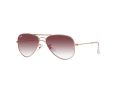 Ray-Ban Junior Aviator Sunčane Naočale RJ 9506S 291/8H