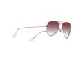 Ray-Ban Junior Aviator Sunčane Naočale RJ 9506S 291/8H