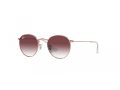 Ray-Ban Junior Round Sunčane Naočale RJ 9547S 291/8H