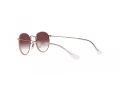 Ray-Ban Junior Round Sunčane Naočale RJ 9547S 291/8H