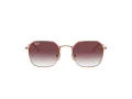 Ray-Ban Sunčane Naočale 9594S 291/8H
