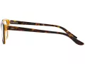 Ralph Lauren Naočale 6062 5277