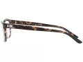 Ralph Lauren Naočale RL 6169 5655
