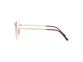 Ray-Ban Jim Naočale 3694V 3094