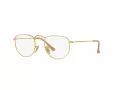Ray-Ban Elon Naočale 3958V 3086
