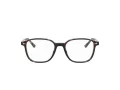 Ray-Ban Leonard Naočale 5393 2012