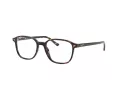 Ray-Ban Leonard Naočale 5393 2012
