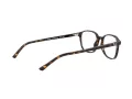Ray-Ban Leonard Naočale 5393 2012