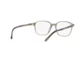 Ray-Ban Leonard Naočale 5393 8178