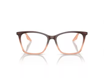 Ray-Ban Naočale RX 5422 8312