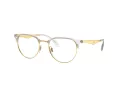 Ray-Ban Naočale 6396 5762