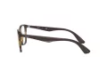 Ray-Ban Naočale 7066 5577