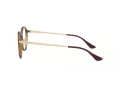 Ray-Ban Naočale 7178D 2012
