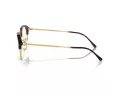 Ray-Ban Naočale RX 7229 2012