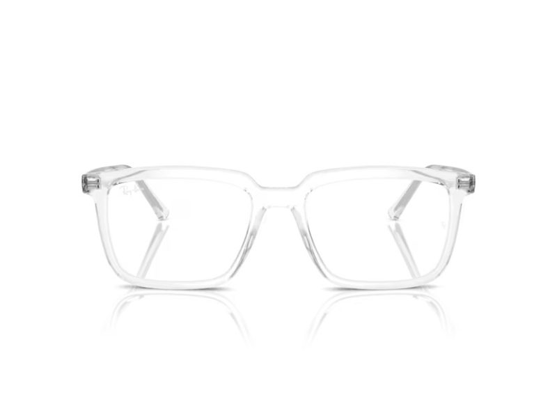 Ray-Ban Alain Naočale RX 7239 2001