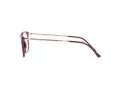 Ray-Ban Naočale RX 7244 8099