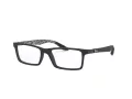 Ray-Ban Naočale 8901 5263