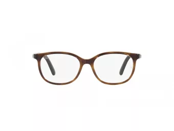 Ray-Ban Naočale 1614D 3863