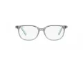 Ray-Ban Naočale 1614D 3908