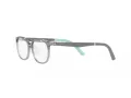 Ray-Ban Naočale 1614D 3908