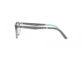 Ray-Ban Naočale 1614D 3908