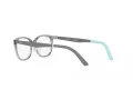 Ray-Ban Naočale 1614D 3908