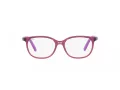 Ray-Ban Naočale 1614D 3909