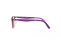 Ray-Ban Naočale 1614D 3909