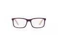 Ray-Ban Naočale RY 1621 3931