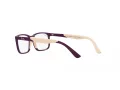 Ray-Ban Naočale RY 1621 3931