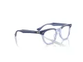 Ray-Ban Naočale 9098V 3961