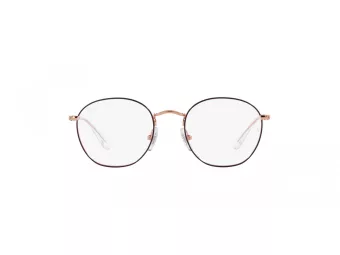 Ray-Ban Junior Rob Naočale RY 9572V 4087