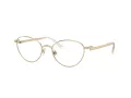 Swarovski Naočale SK 1002 4004